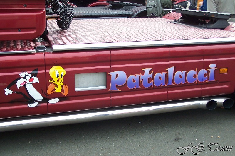 Patalacci T (1).jpg